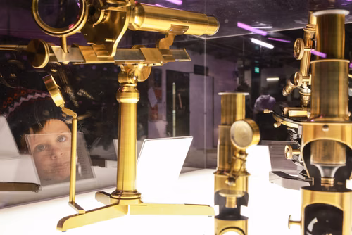 La lumière, voici la toute nouvelle thématique du festival Scientastic, le festival des sciences de l'EPFL Organisateur Service de promotion des sciences sps. 