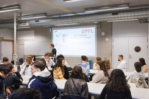 Stages sur campus