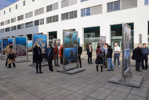 Red Sea corals - Bridging science & diplomacy in favor of the « Reefs of Hope » Opening