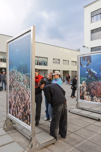 Red Sea corals - Bridging science & diplomacy in favor of the « Reefs of Hope » Opening