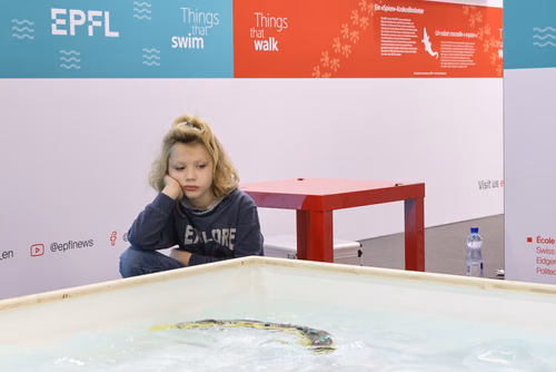 L’EPFL vous propose d’explorer ces liens étroits entre science et monde animal à travers une exposition de 200m2 présentant une sélection de projets de recherche issus des laboratoires de l’École.