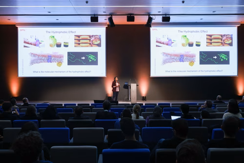 Engineering as an Enabling Discipline in Cancer Research, Diagnosis and Treatment. Annual research event of the