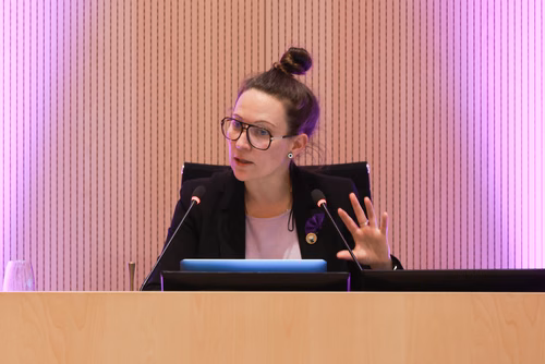 Rencontre entre scientifiques et politiciens au Grand Conseil vaudois sur invitation de Mme Séverine Evéquoz, Présidente du Grand-Conseil :