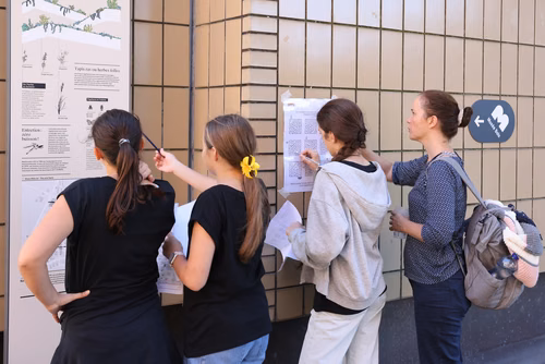 Le Meet up national annuel du Coding club des filles sur le campus de l’EPFL Service de promotion des sciences SPS 