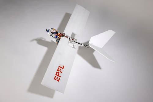 EPFL researchers have built a drone that can walk, hop, and jump into flight with the aid of birdlike legs, greatly expanding the range of potential environments accessible to unmanned aerial vehicles.