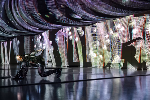 Une captivante immersion entre art & science pour tous les publics.