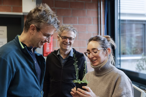 À l’EPFL, le Swiss Plasma Center a mené une étude sur un traitement des graines au plasma afin de voir si cette technique peut remplacer les pesticides et les fongicides. Une équipe a bombardé des arabettes pendant quelques dizaines de secondes, et analysé quelles étaient les voies de défense que la plante mettait en place. D’après les premiers résultats, il semblerait que le traitement au plasma pourrait être une voie d’action appliquée en agriculture pour protéger les plantes contre les stress environneme