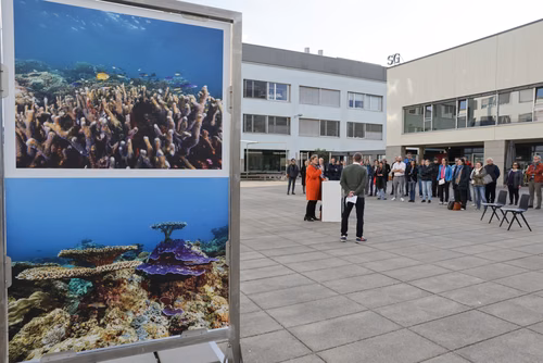 Red Sea corals - Bridging science & diplomacy in favor of the « Reefs of Hope » Opening