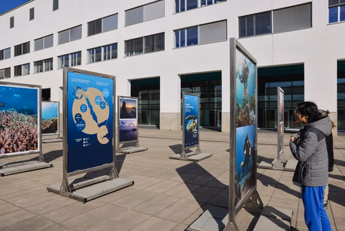 Science et diplomatie se conjuguent en faveur de "récifs de l'espoir" Cette exposition en plein air présente les missions scientifiques et les ateliers éducatifs menés par le Transnational Red Sea Center, des scientifiques de l’ENAC, ainsi que soudanais et djiboutiens entre 2022 et 2023 à Djibouti – dans le golfe de Tadjourah et autour de l’archipel des Sept Frères. 