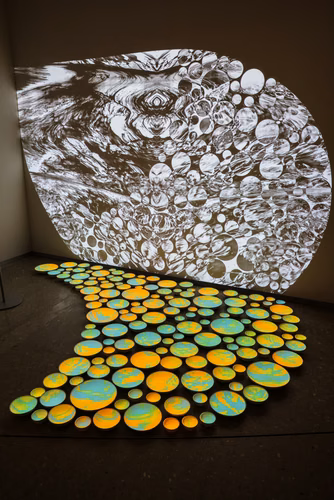 The exhibition Shapes: Patterns in Art and Science explores the richness of the natural and artificial patterns that surround us. Bringing together art, mathematics, materials science and biology, it highlights the shared fascination of scientists and artists with geometric, dynamic and symmetrical structures. Opening