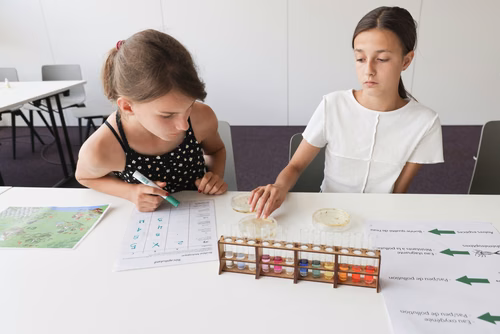 Scientastic à Sion autour de la la thématique de l'environnement 