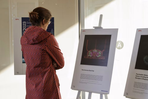 The Visual Wonders of Science est une exposition en deux parties, proposée par le Centre d’imagerie de l’EPFL en collaboration avec Figure 1.A., qui regroupe des images et vidéos prises dans le cadre de recherches sur le campus et/ou par des chercheurs de l’EPFL. Certaines d’entre elles sont présentées au public pour la première fois.
