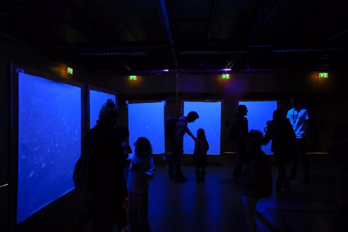 La lumière, voici la toute nouvelle thématique du festival Scientastic, le festival des sciences de l'EPFL