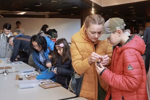 La lumière, voici la toute nouvelle thématique du festival Scientastic, le festival des sciences de l'EPFL Organisateur Service de promotion des sciences sps. 