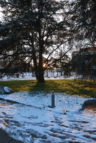 Campus sous la neige