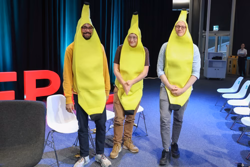 Les prix Ig Nobel honorent une recherche qui fait rire puis réfléchir.