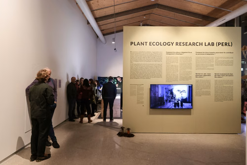 Les arbres peuvent vivre plus de 1000 ans, les modèles climatiques actuels prévoient les changements climatiques jusqu'à un peu plus de 100 ans dans le futur. Que se passera-t-il ensuite? La collaboration entre le Plant Ecology Research Lab (PERL) de l'EPFL, l'artiste de performance Maja Renn et le designer et artiste Krzysztof Wronski a donné naissance à un voyage spéculatif dans le temps et dans le futur proche des arbres indigènes.