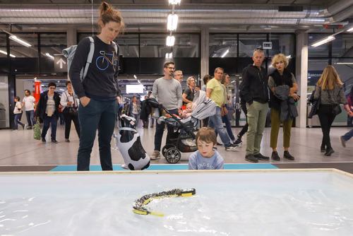 L’EPFL vous propose d’explorer ces liens étroits entre science et monde animal à travers une exposition de 200m2 présentant une sélection de projets de recherche issus des laboratoires de l’École.