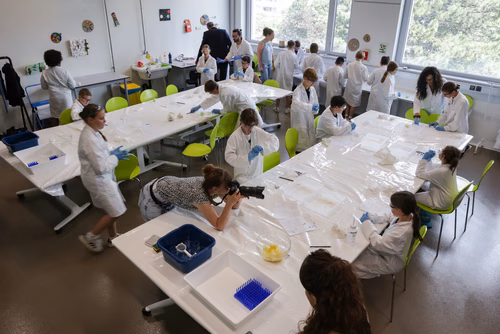 Destiné aux jeunes filles et garçons de sept à seize ans, il propose une approche pédagogique active et ludique qui éveille l’intérêt pour les sciences et pour les technologies. Ce, grâce à un partenariat avec UBS et la collaboration entre le Service de promotion des sciences de l’EPFL, l’EPFL Valais Wallis et le Canton du Valais. Canton du Valais  NCCR Catalysis, pôle de recherche du fonds national Suisse