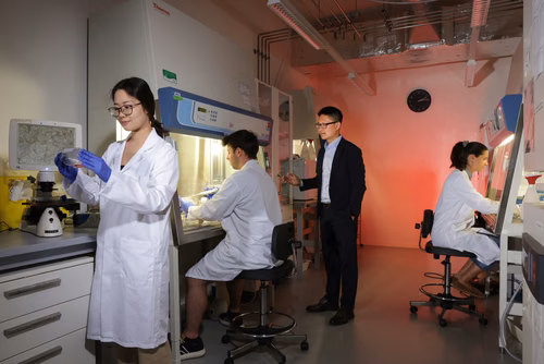Les résultats d’une étude préclinique de l’EPFL menée chez la souris, et d’une étude clinique collaborative menée chez des patientes et patients montrent que la réponse immunitaire de type 2 – associée à une infection parasitaire et dont on pensait qu’elle joue un rôle négatif dans l’immunité cancéreuse – est positivement corrélée à une rémission du cancer à long terme.
