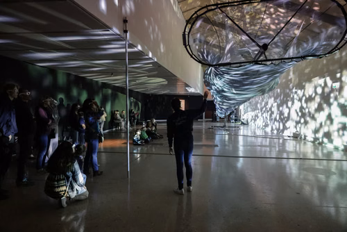 Une captivante immersion entre art & science pour tous les publics.