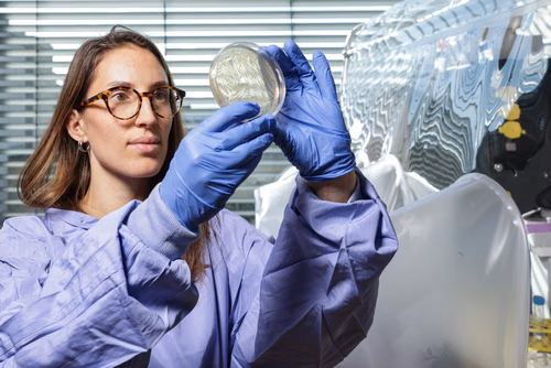 The microorganisms in our intestines play an important role in many bodily processes, from digestion to emotions, and are a key factor in our overall health. A number of modern diseases could be traced to disturbances in the gut microbiome. Camille Goemans Lab of Drug-microbiota Interactions EPFL