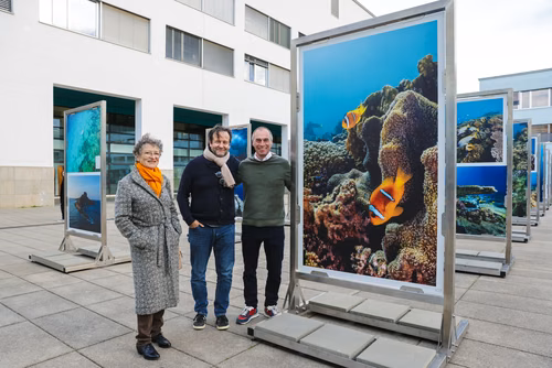 Red Sea corals - Bridging science & diplomacy in favor of the « Reefs of Hope » Opening