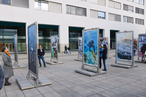 Red Sea corals - Bridging science & diplomacy in favor of the « Reefs of Hope » Opening