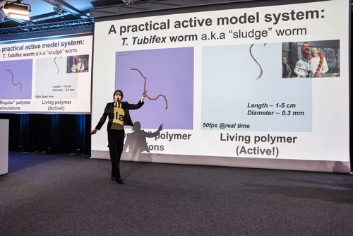 The Ig Nobel Awards honor research that makes people laugh, then think.