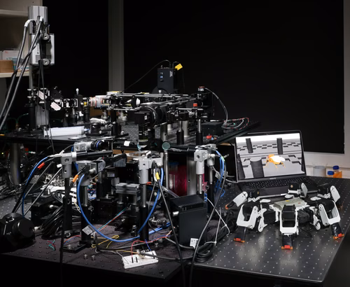 Au Laboratoire de neuro-ingénierie de l’EPFL, l’équipe de Pavan Ramdya travaille à recréer le cerveau de la drosophila melanogaster. Les perspectives en robotique sont riches.
