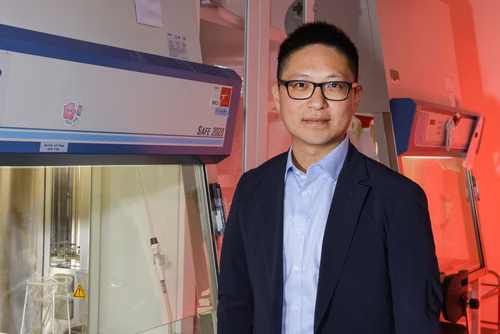 Les résultats d’une étude préclinique de l’EPFL menée chez la souris, et d’une étude clinique collaborative menée chez des patientes et patients montrent que la réponse immunitaire de type 2 – associée à une infection parasitaire et dont on pensait qu’elle joue un rôle négatif dans l’immunité cancéreuse – est positivement corrélée à une rémission du cancer à long terme.