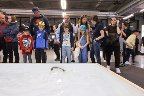 L’EPFL vous propose d’explorer ces liens étroits entre science et monde animal à travers une exposition de 200m2 présentant une sélection de projets de recherche issus des laboratoires de l’École.