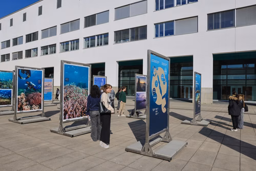 Science et diplomatie se conjuguent en faveur de "récifs de l'espoir" Cette exposition en plein air présente les missions scientifiques et les ateliers éducatifs menés par le Transnational Red Sea Center, des scientifiques de l’ENAC, ainsi que soudanais et djiboutiens entre 2022 et 2023 à Djibouti – dans le golfe de Tadjourah et autour de l’archipel des Sept Frères. 