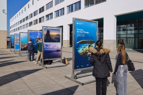 Science et diplomatie se conjuguent en faveur de "récifs de l'espoir" Cette exposition en plein air présente les missions scientifiques et les ateliers éducatifs menés par le Transnational Red Sea Center, des scientifiques de l’ENAC, ainsi que soudanais et djiboutiens entre 2022 et 2023 à Djibouti – dans le golfe de Tadjourah et autour de l’archipel des Sept Frères. 
