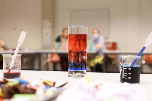 Les ateliers de Scientastic