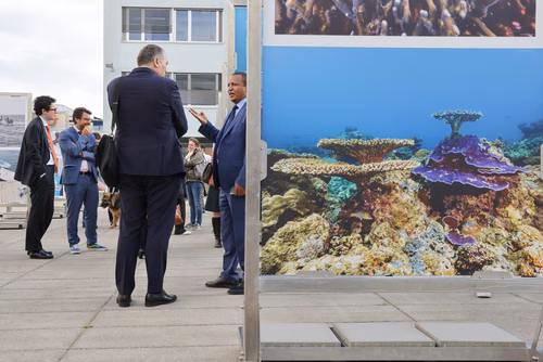 Red Sea corals - Bridging science & diplomacy in favor of the « Reefs of Hope » Opening