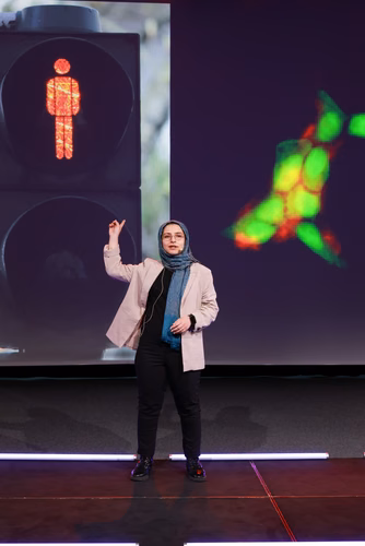 The 14 PhD Students finalists of the competition My Thesis in 180 seconds (MT180)  present their research in simple, straightforward terms in 3 minutes exactly, in English or in French, using humour, metaphores and examples. Sara Behjati, «Designing DNA wrapped single-walled carbon nanotube optical biosensors for cancer biomarker detection», Nanobiotechnology Lab (Prof. Ardemis Boghossian), English