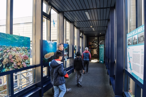 La découverte des sciences et des technologies au cœur du campus, pour les adultes et les enfants.