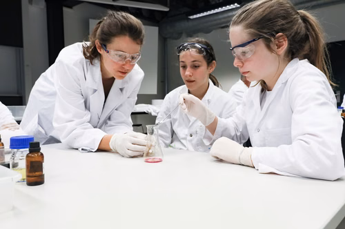  l’EPFL accueille chaque année les classes romandes de 7ème et 8ème pour une journée de découverte des sciences et domaines techniques.
