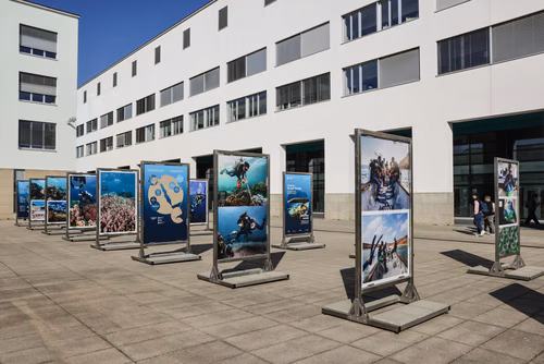 Science et diplomatie se conjuguent en faveur de "récifs de l'espoir" Cette exposition en plein air présente les missions scientifiques et les ateliers éducatifs menés par le Transnational Red Sea Center, des scientifiques de l’ENAC, ainsi que soudanais et djiboutiens entre 2022 et 2023 à Djibouti – dans le golfe de Tadjourah et autour de l’archipel des Sept Frères. 