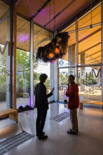 Guided Tour of the exhibition Musica ex Machina