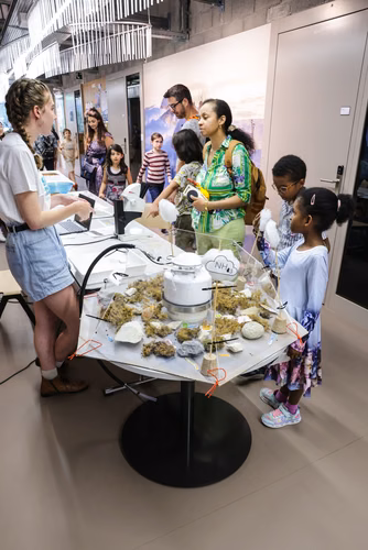le Festival des sciences de l'EPFL, à Sion