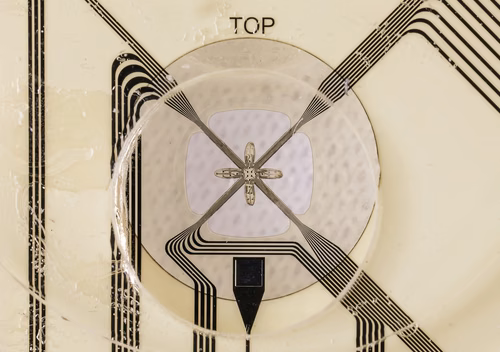 EPFL researchers have developed a novel neural recording device called the "e-Flower" that gently wraps organoids in soft petals.