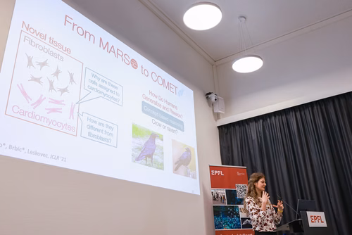L'apprentissage automatique a été la principale force motrice pour amener l'intelligence artificielle dans le monde réel. Cet atelier vise à réunir des étudiants et des jeunes chercheurs de l'EPFL-CIS et du RIKEN-AIP et à discuter des dernières réalisations, applications et défis de l'apprentissage automatique. Cet événement fait partie d'une série d'échanges institutionnels entre le RIKEN-AIP et l'EPFL-CIS depuis 2020, basés sur un protocole d'accord entre les deux institutions visant à établir une relatio