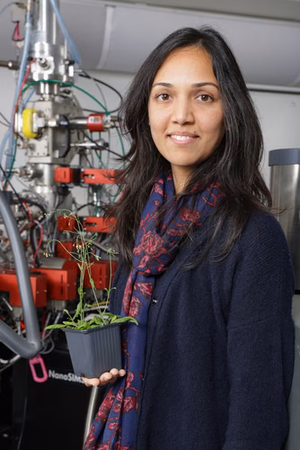 Une équipe de recherche conjointe de l’EPFL et de l’Université de Lausanne présente l’observation inédite d’un mécanisme de protection des plantes face au stress salin. L’étude ouvre de nouvelles perspectives de recherche pour renforcer la sécurité alimentaire.