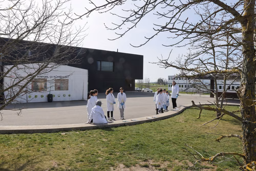 Rempli d’expérimentations ludiques, Le Bus des sciences de l’EPFL part ce printemps à la rencontre des écoles de Suisse romande. Un programme pédagogique lancé il y a quinze ans, qui a permis à plus de 45'000 enfants de découvrir les sciences et les technologies.