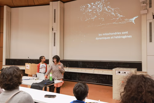 La lumière, voici la toute nouvelle thématique du festival Scientastic, le festival des sciences de l'EPFL Organisateur Service de promotion des sciences sps. 