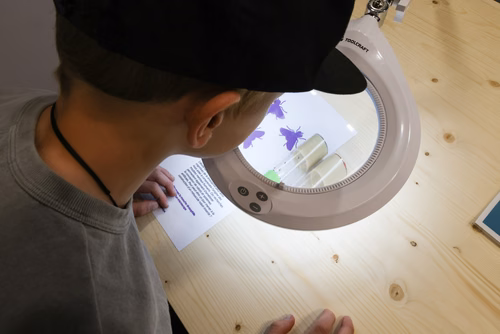 L’EPFL vous propose d’explorer ces liens étroits entre science et monde animal à travers une exposition de 200m2 présentant une sélection de projets de recherche issus des laboratoires de l’École.