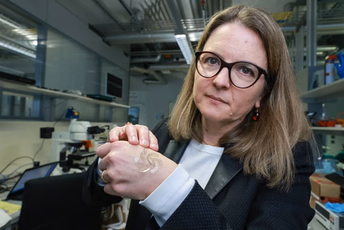 Des scientifiques de l’EPFL ont développé un réseau d’électrodes déployable au-dessus d’une relativement large surface du cortex cérébral, à travers un petit trou percé dans le crâne. La technologie pourrait fournir une solution minimalement invasive pour des patients épileptiques. Sukho Song et Stéphanie Lacour, professeure à l’institut Neuro X de l’EPFL, avec l'électrode déployable.