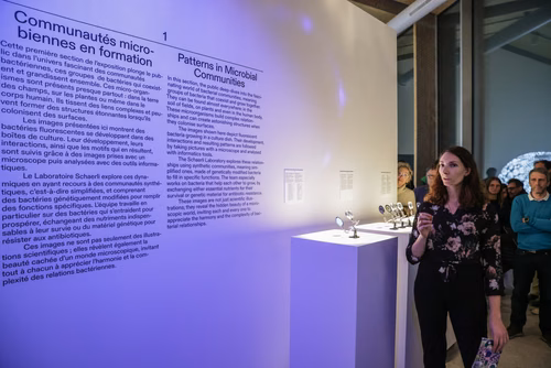 The exhibition Shapes: Patterns in Art and Science explores the richness of the natural and artificial patterns that surround us. Bringing together art, mathematics, materials science and biology, it highlights the shared fascination of scientists and artists with geometric, dynamic and symmetrical structures. Opening